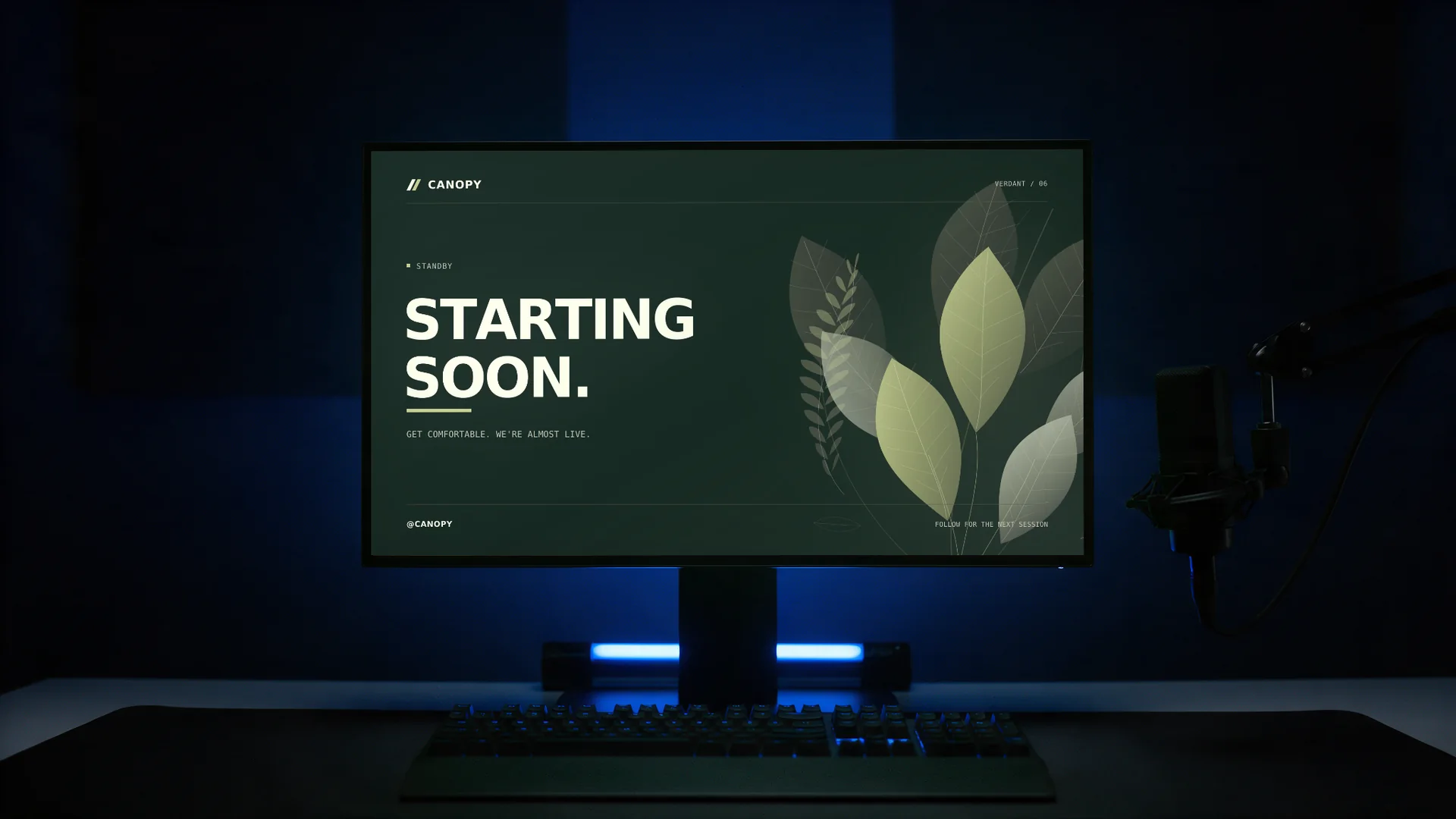 Verdant scene personalized as CANOPY on a desk monitor