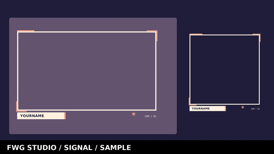 Signal webcam frames